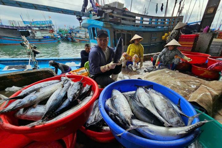 Quản lý chặt đội tàu để chống khai thác IUU
